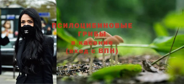 2c-b Костерёво